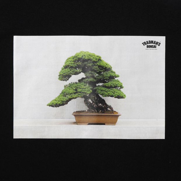 BONSAI PHOTO T-SHIRT -五葉松- 詳細画像